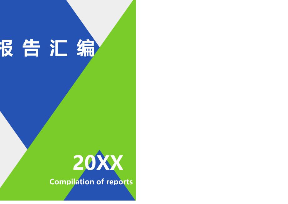 招标评标报告范本借鉴_第1页