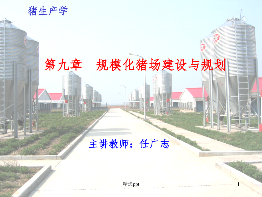 现代化养殖场的建设与规_第1页