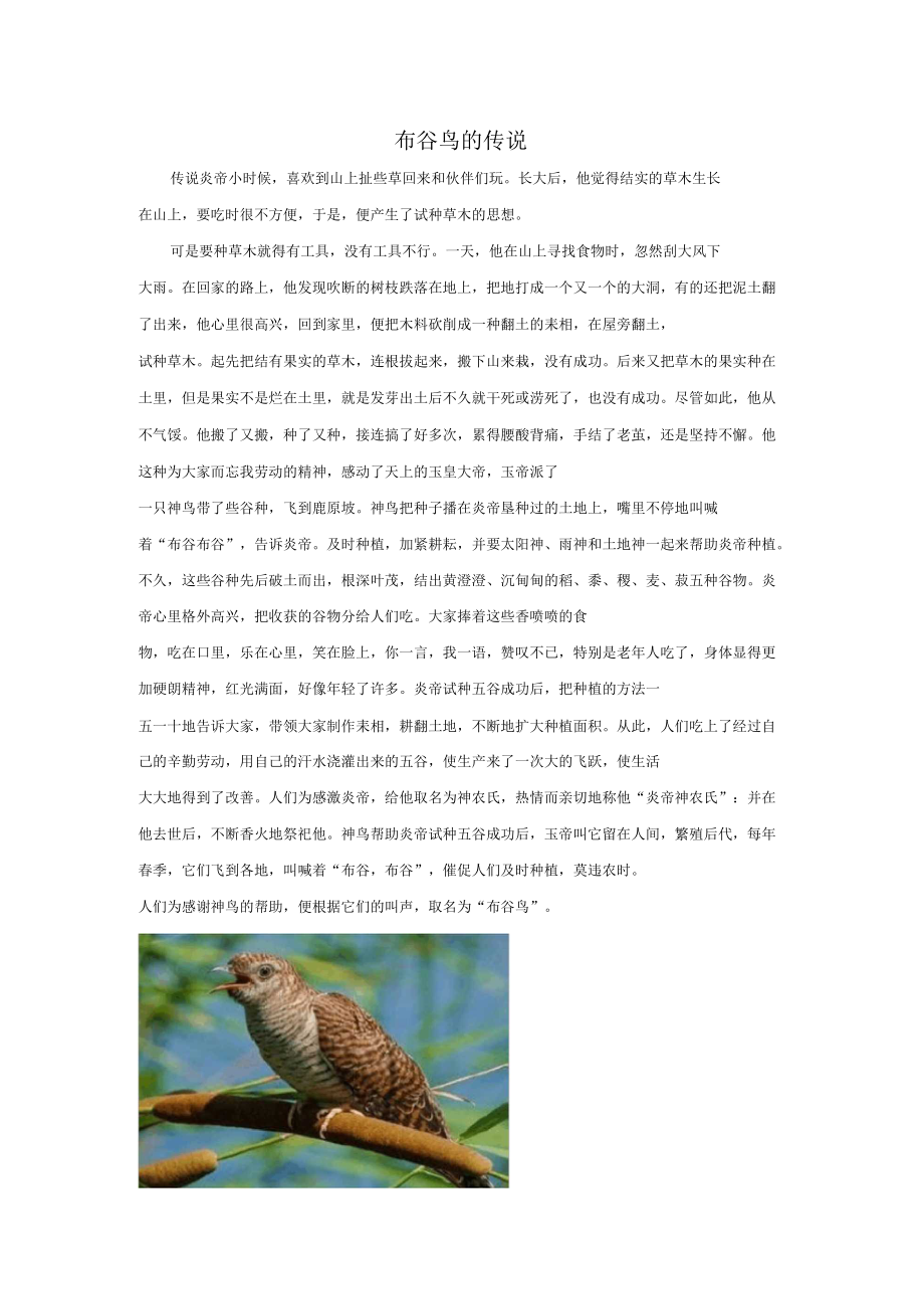 人教版三年级音乐上册：布谷鸟的传说_第1页