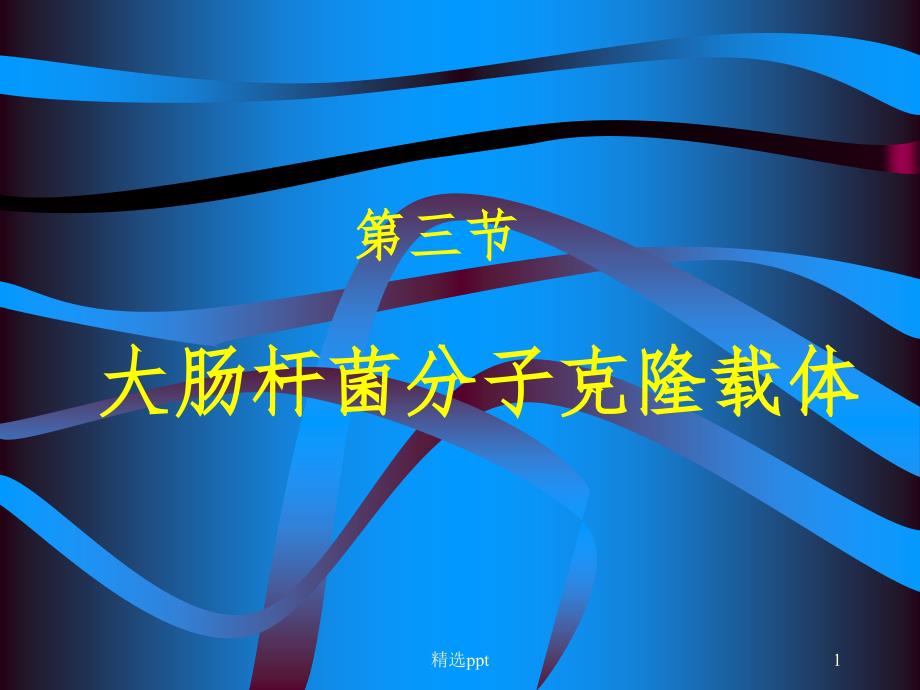 肠杆菌分子克隆载体_第1页