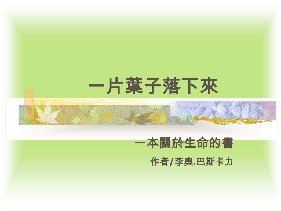 幼儿园童趣绘本-一片叶子落下来_第1页