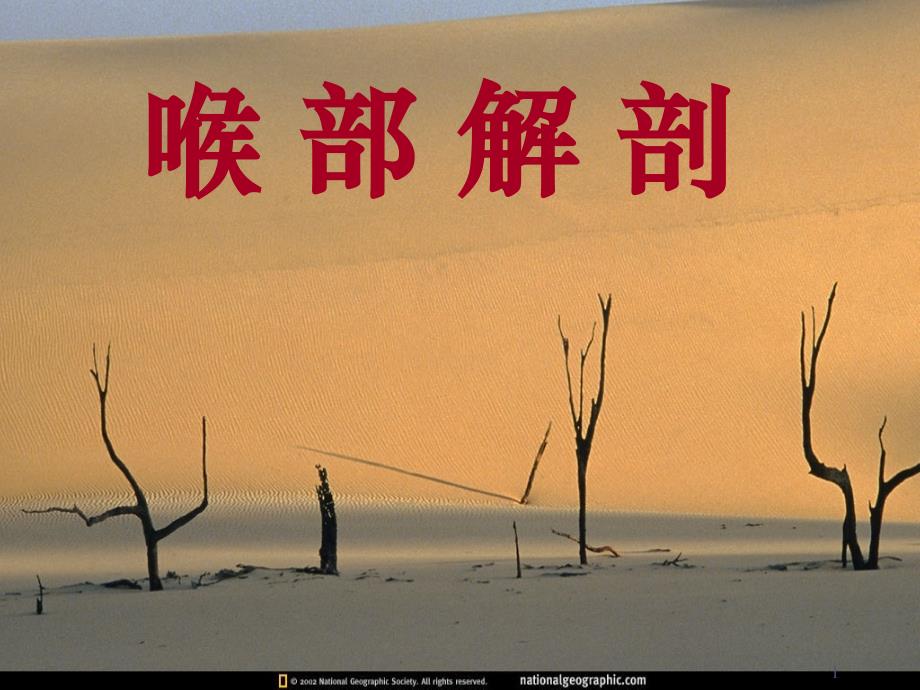 喉部解剖终版_第1页