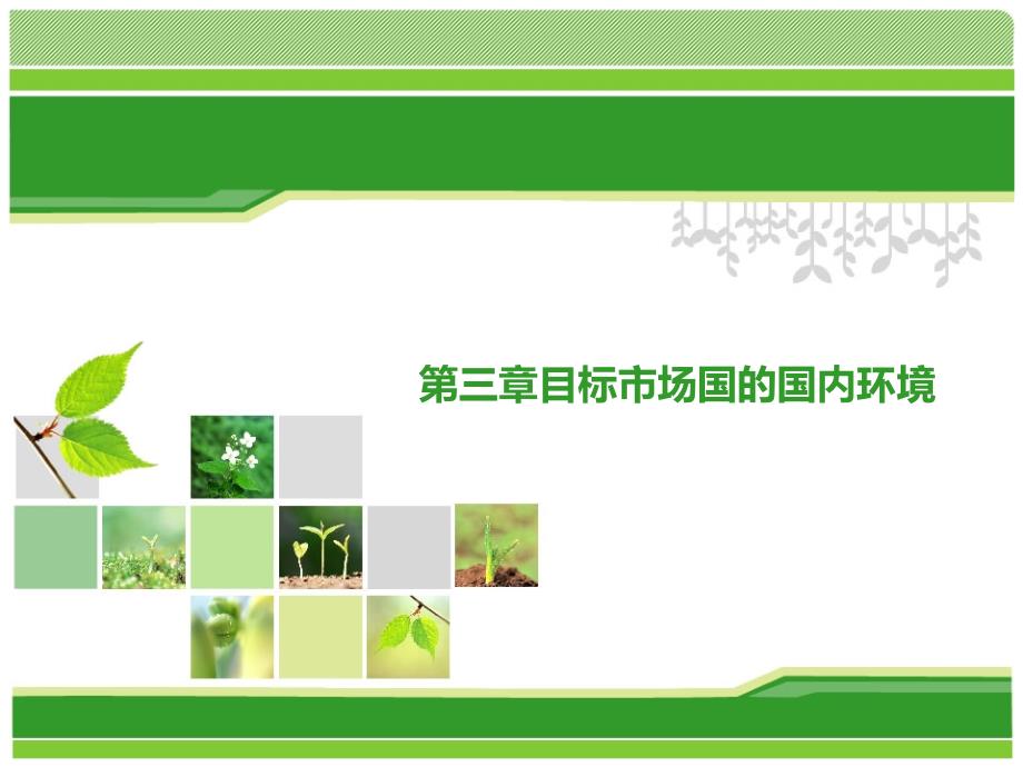 营销环境之目标市场国的国内环境课件_第1页