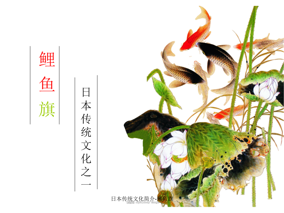 日本传统文化简介-鲤鱼旗课件_第1页