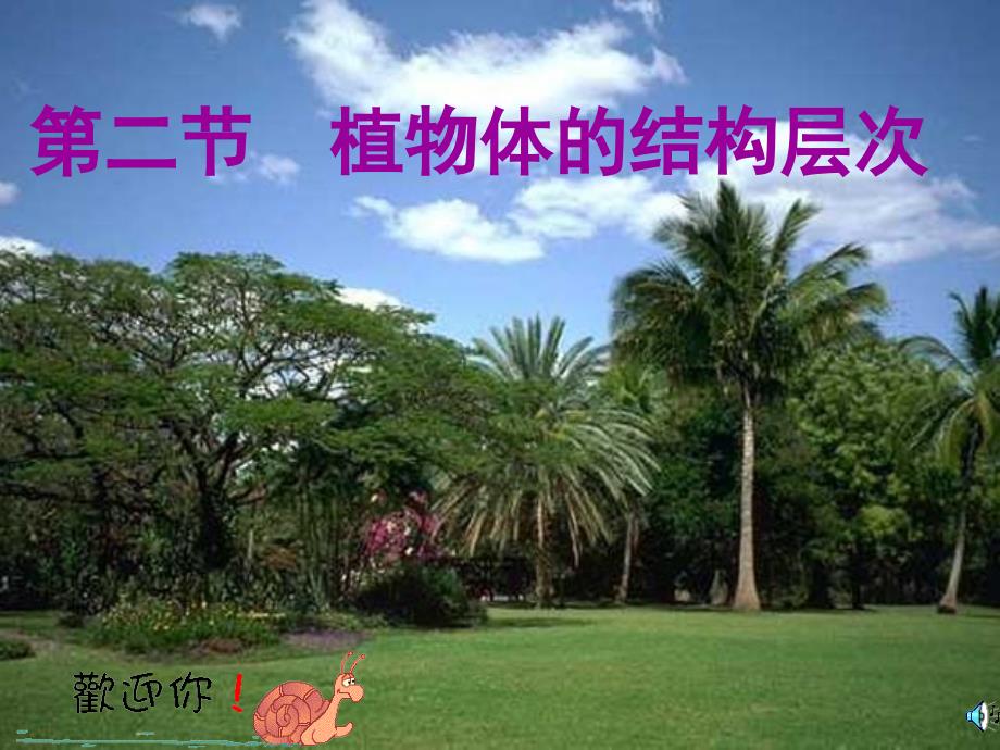 植物体的结构层次公开课课件人教版_第1页