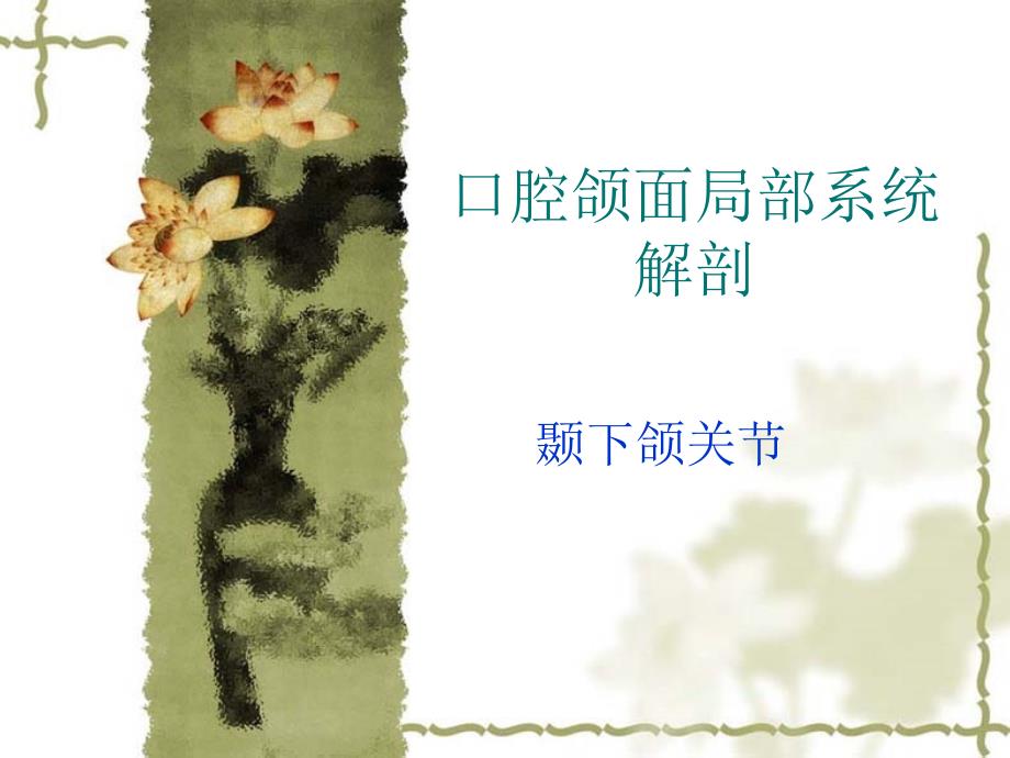 口腔颌面局部疾病系统解剖图解终版_第1页