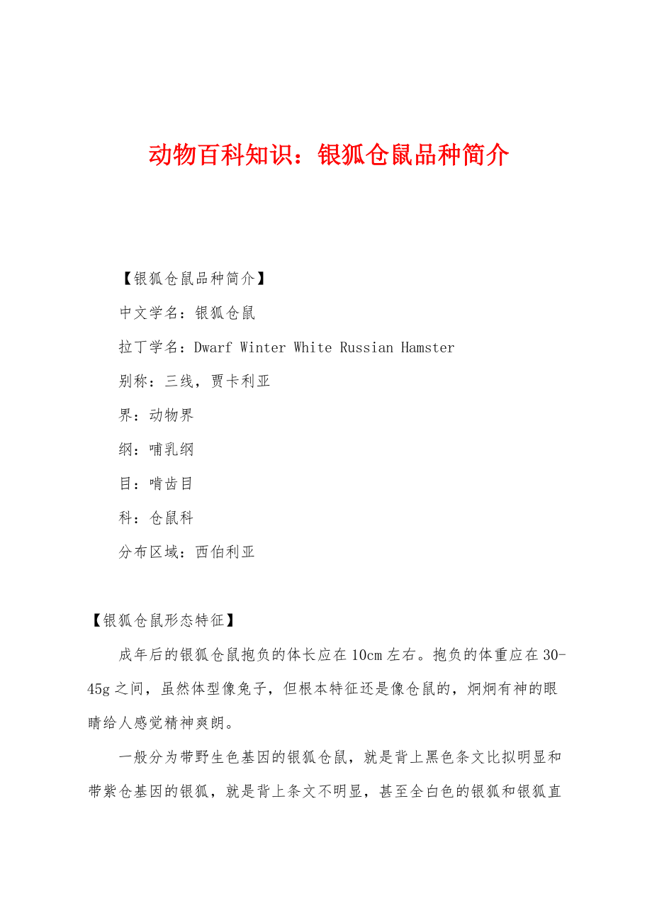 动物百科知识：银狐仓鼠品种简介_第1页