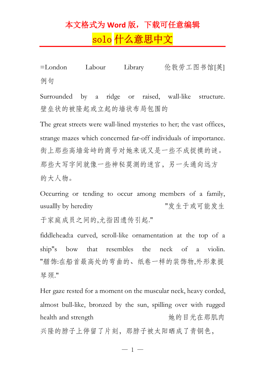 solo什么意思中文_第1页