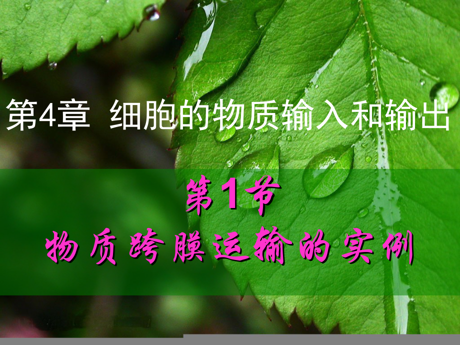 物质跨膜运输的实例d_第1页