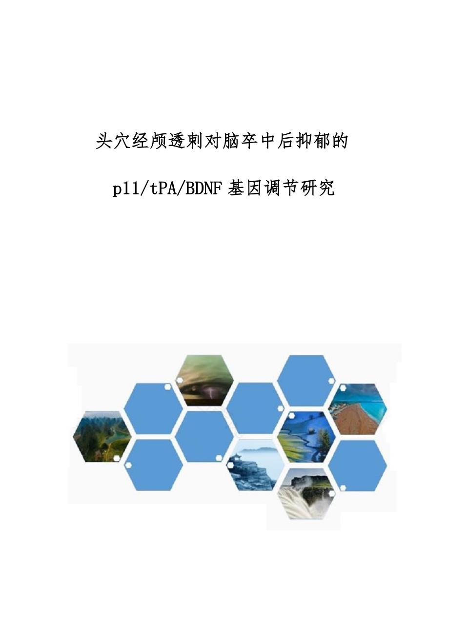 头穴经颅透刺对脑卒中后抑郁的p11-tPA-BDNF基因调节研究_第1页