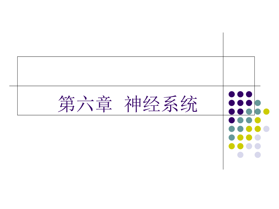 人体解剖生理学第六章 神经系统（概述）_第1页
