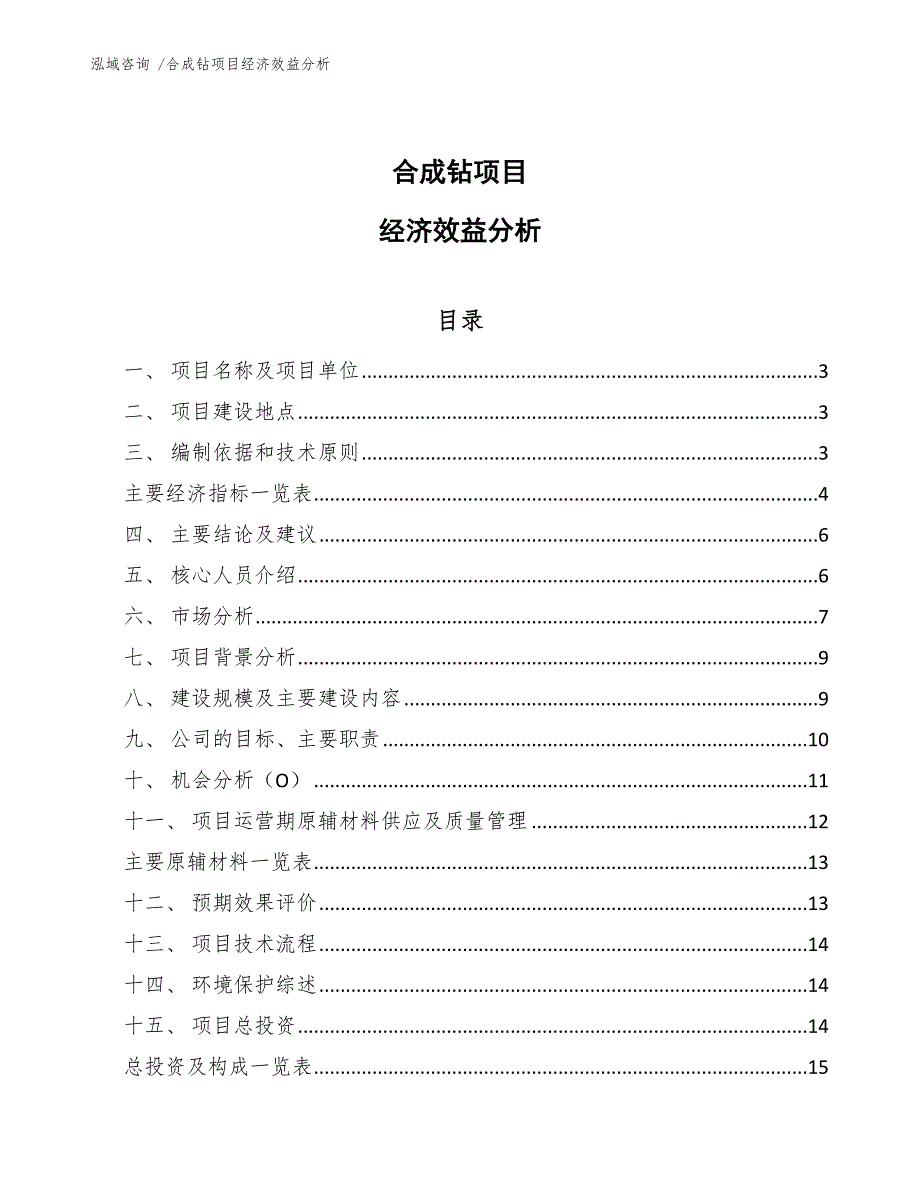 合成钻项目经济效益分析（参考模板）_第1页