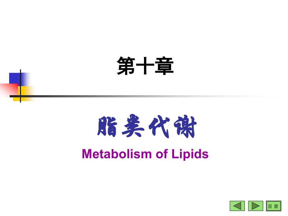 生物化学-第10章脂类代谢._第1页