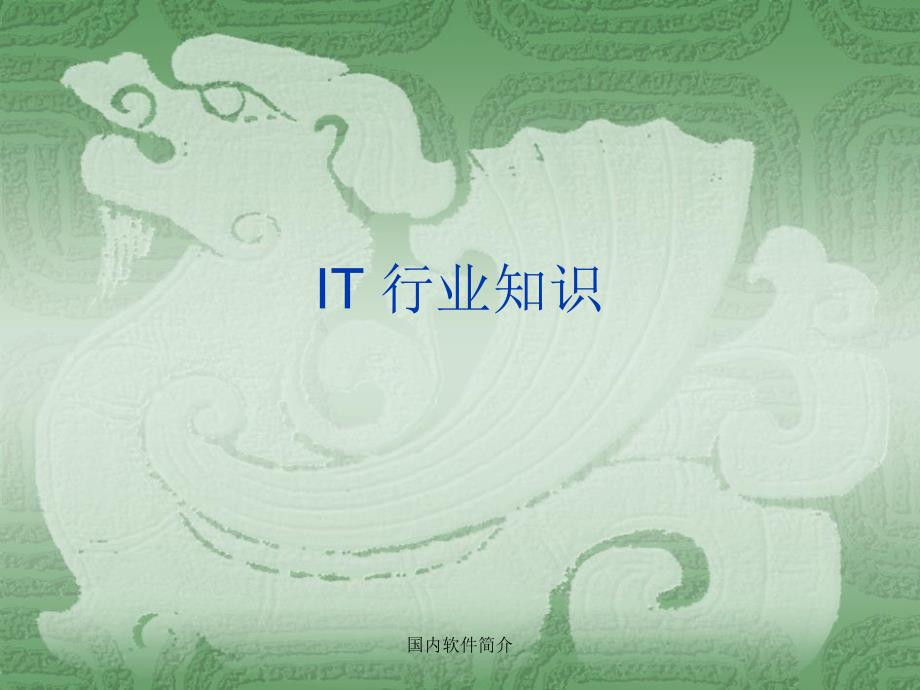 国内软件简介课件_第1页