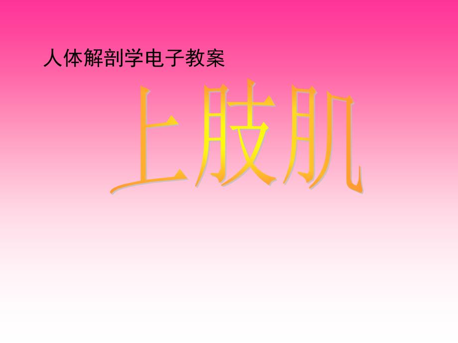 运动系统－－骨骼肌－－上肢肌_第1页