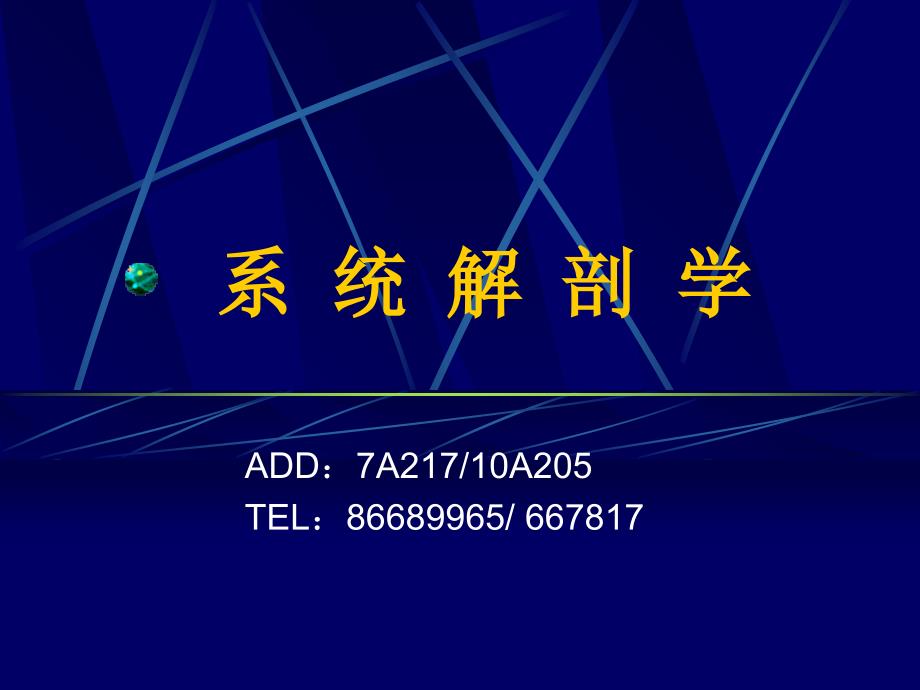 中枢神经系统 小脑、间脑_第1页