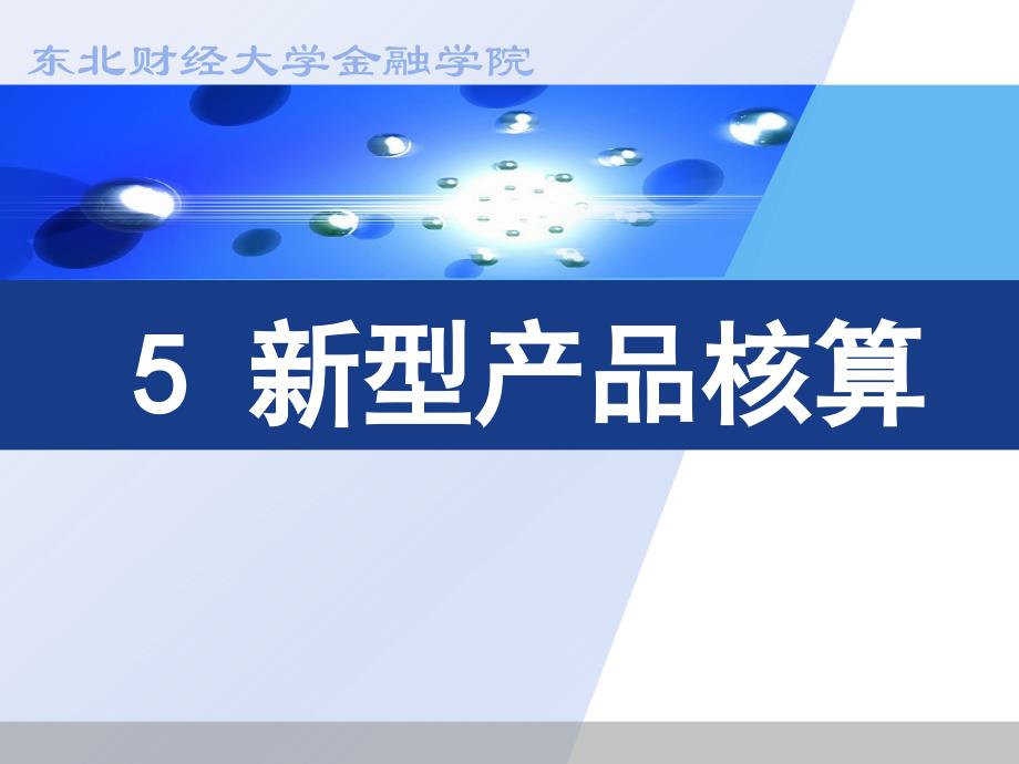 保险公司会计：第5章 新型产品核算_第1页