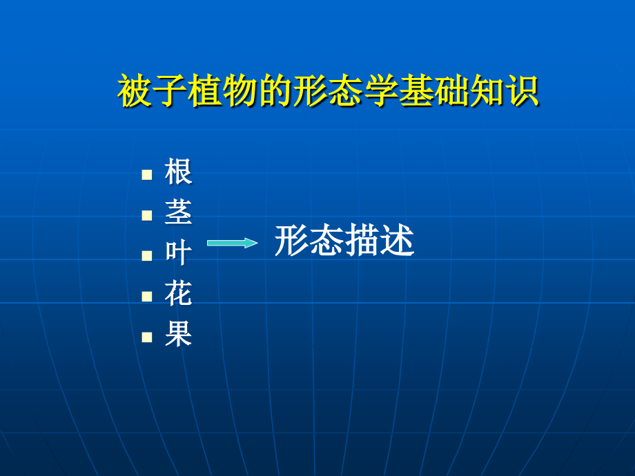 被子植物的形态学基础知识._第1页