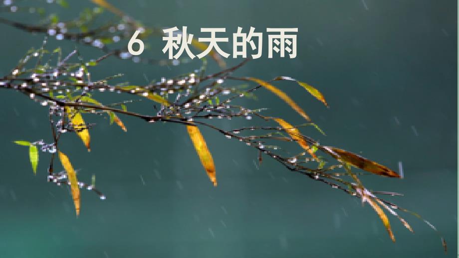 三年级上册语文课件2.6秋天的雨(人教部编版_)_第1页