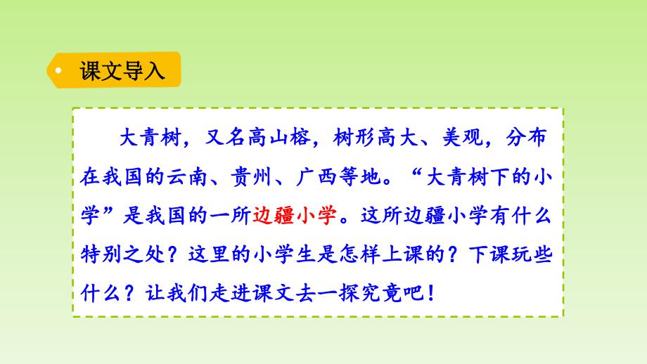 三年级上册语文课件第一单元1大青树下的小学_人教（部编版）(PPT 35页)_第1页