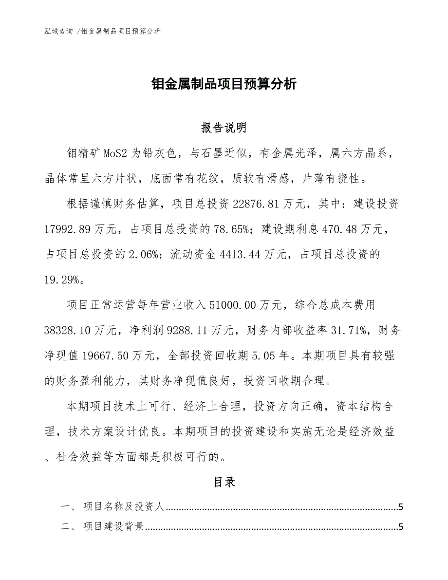 钼金属制品项目预算分析（范文参考）_第1页