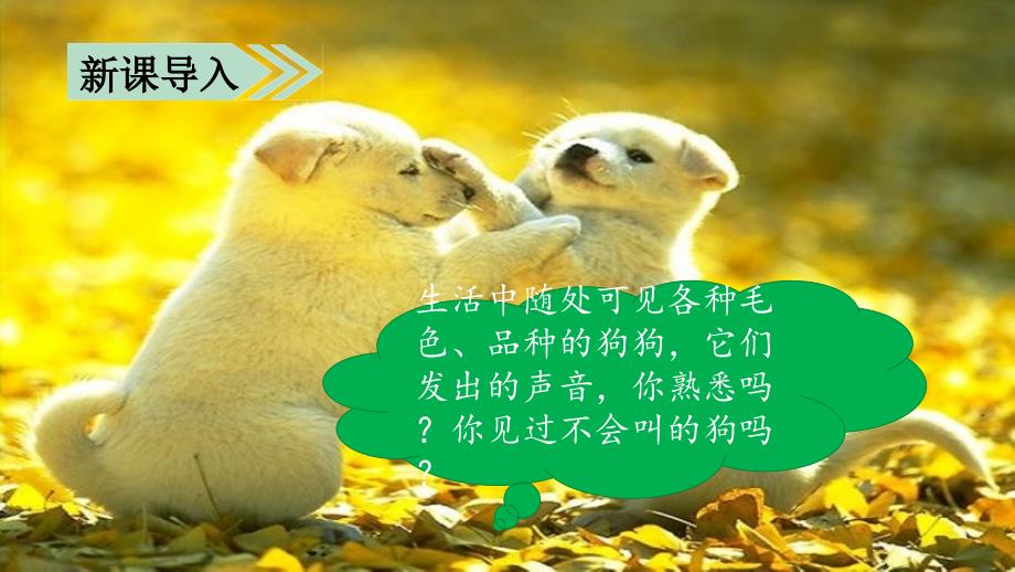 部编版三年级上册语文 14.小狗学叫 课件（45页）_第1页