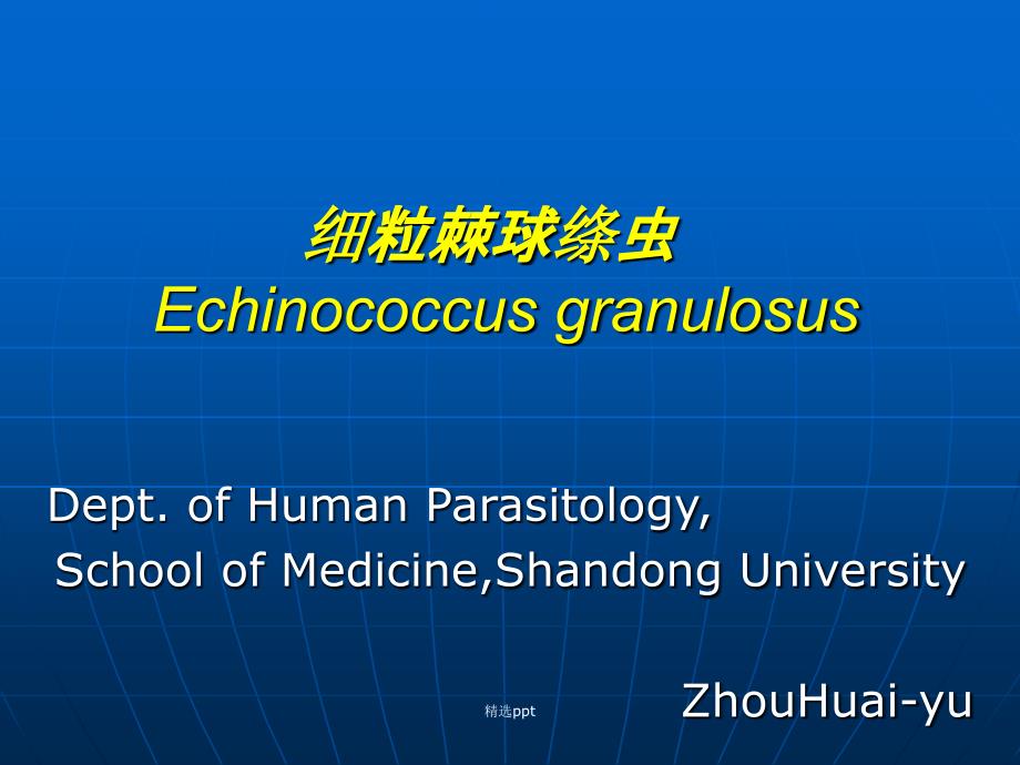 细粒棘球绦虫Echinococcusgranulosu1_第1页