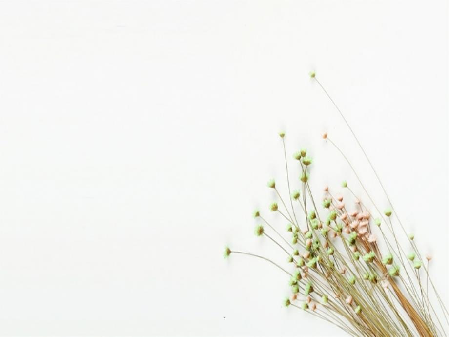 精品课程《茶树栽培学》 第九章 茶树气象性灾害及防御_第1页