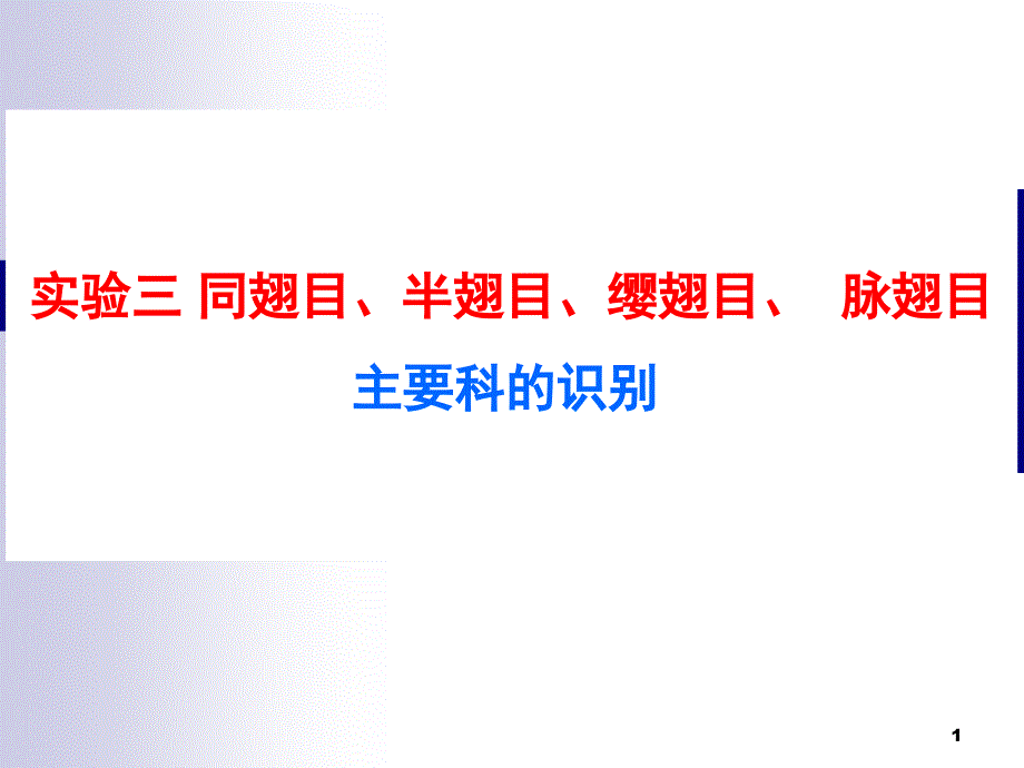实验三同翅目、半翅目、缨翅目、脉翅目主要科的识别_第1页