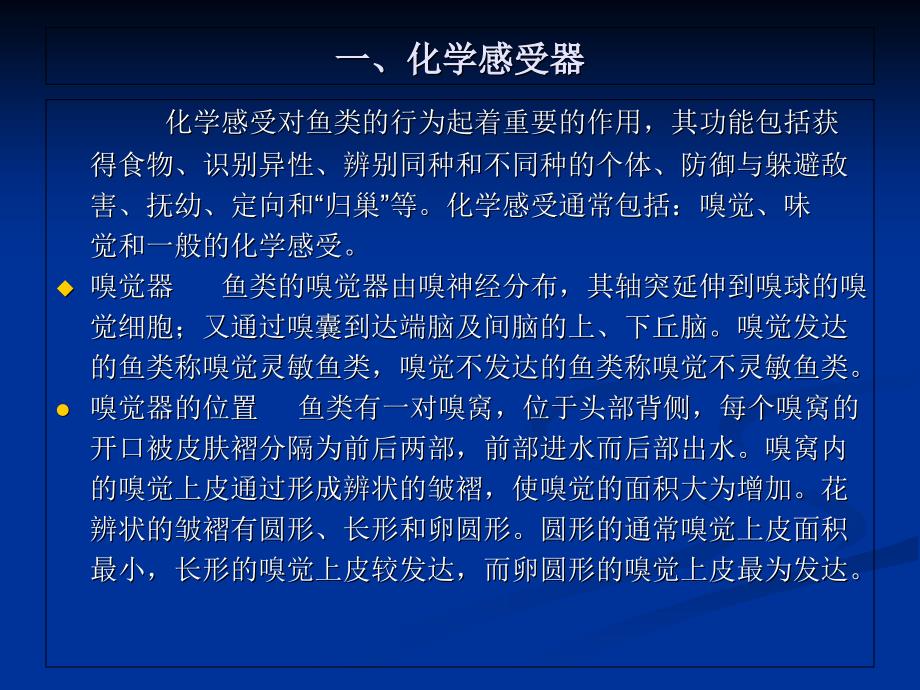 感觉器官及其生理功能PPT课件_第1页