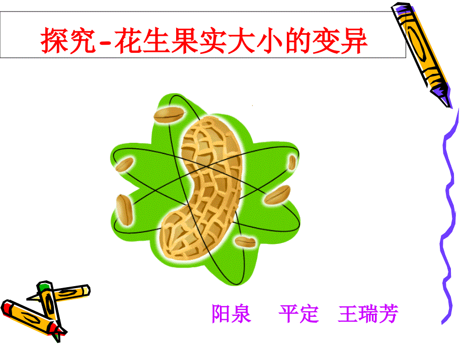 花生果实大小的变异PPT课件_第1页