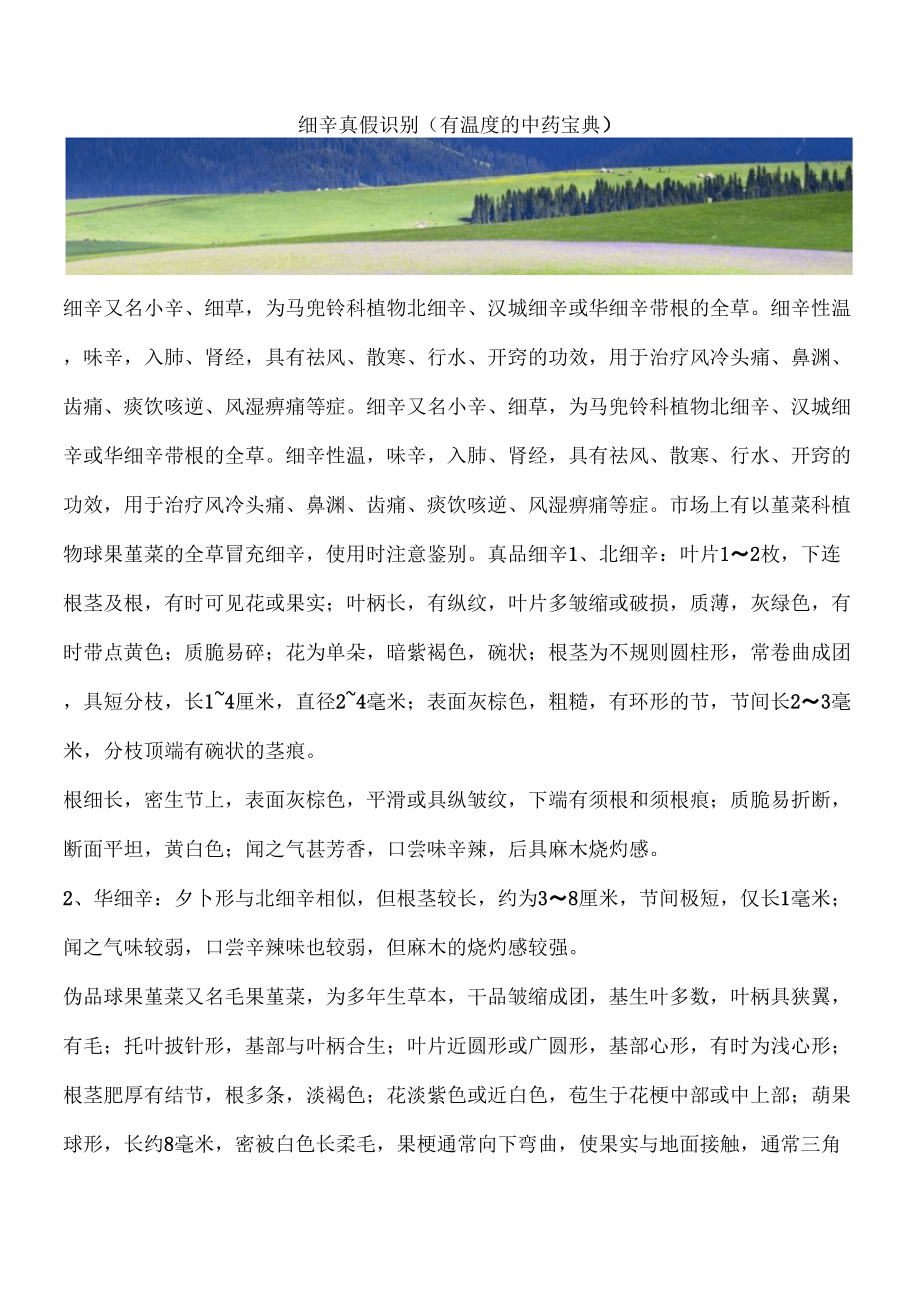 细辛真假识别(有温的中药宝典)_第1页