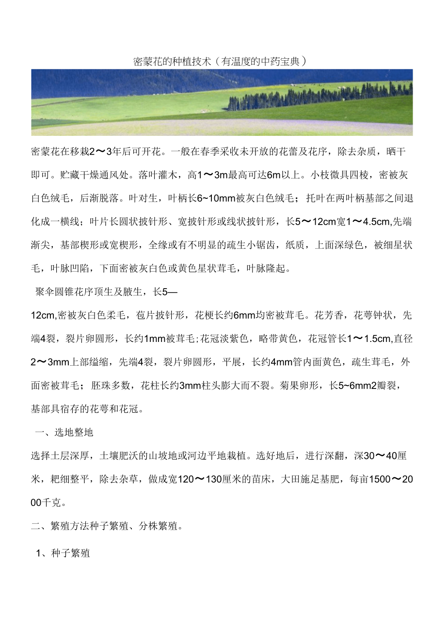 密蒙花的种植技术(有温的中药宝典)_第1页