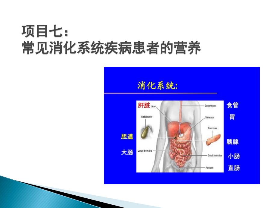 营养与膳食教学课件（共13单元）项目7： 常见消化系统疾病患者的营养_第1页