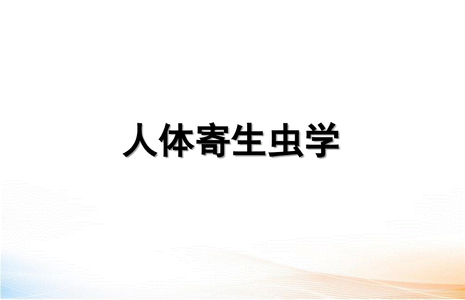 丝虫教学课件_第1页