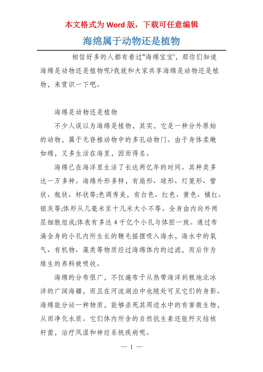 海绵属于动物还是植物_第1页