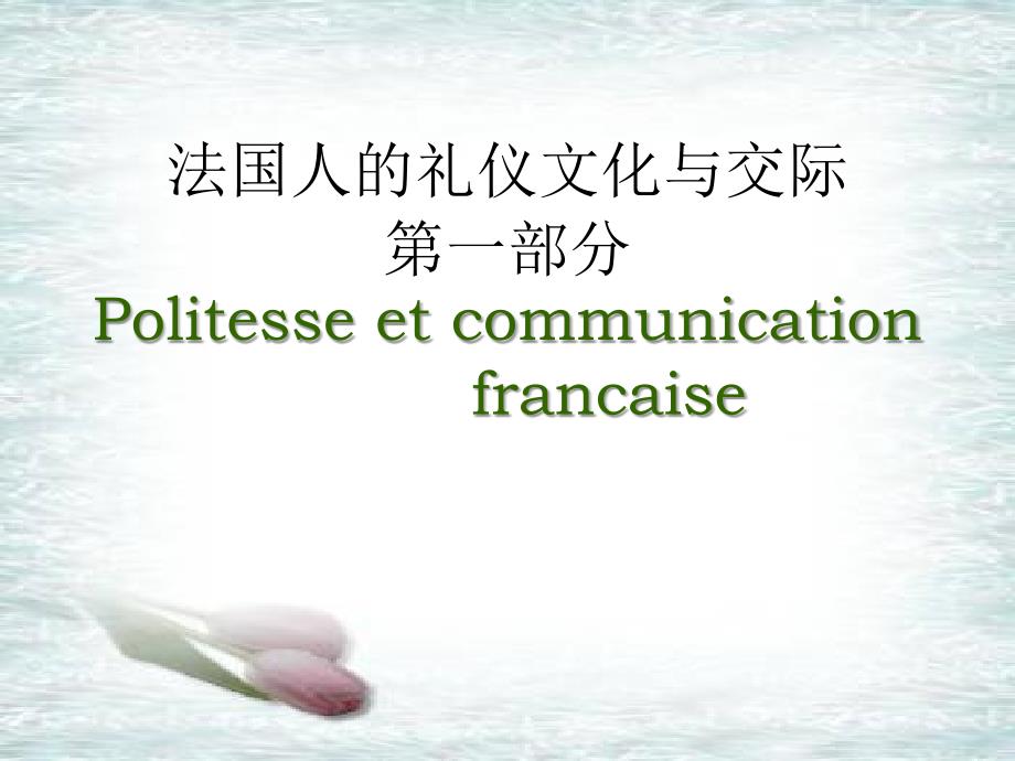 法国礼仪文化讲座I7教程教案_第1页