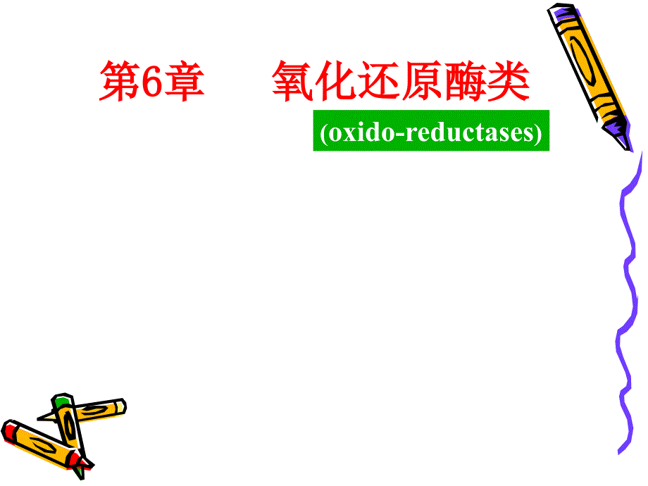 食品中氧化还原酶培训_第1页