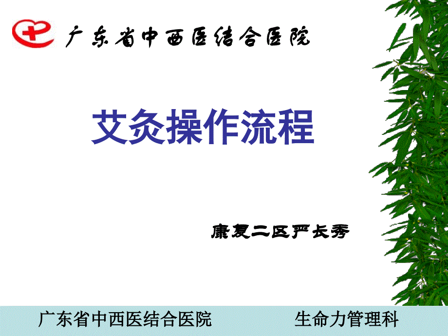 生命力针刺课件9讲解学习_第1页