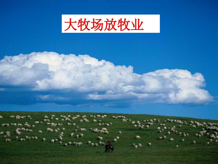 高一地理以畜牧业为主的农业地域类型6教程教案_第1页