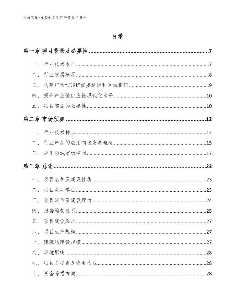 橡胶制品项目经营分析报告参考模板_第1页