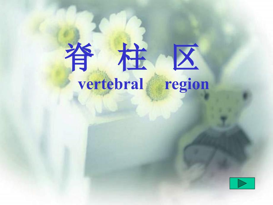 局部解剖学脊柱区9电子教案_第1页