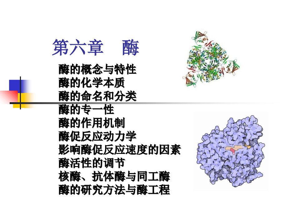 第六章 酶1研究报告_第1页