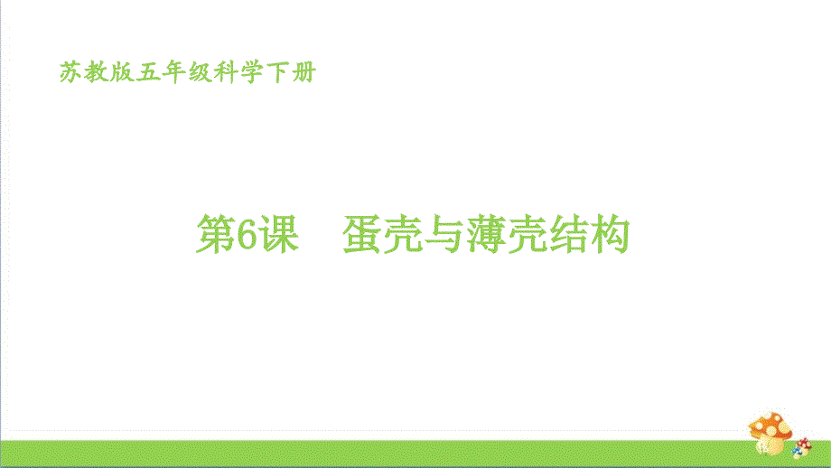 新苏教版五年级科学下2.6《蛋壳与薄壳结构》教学课件_第1页