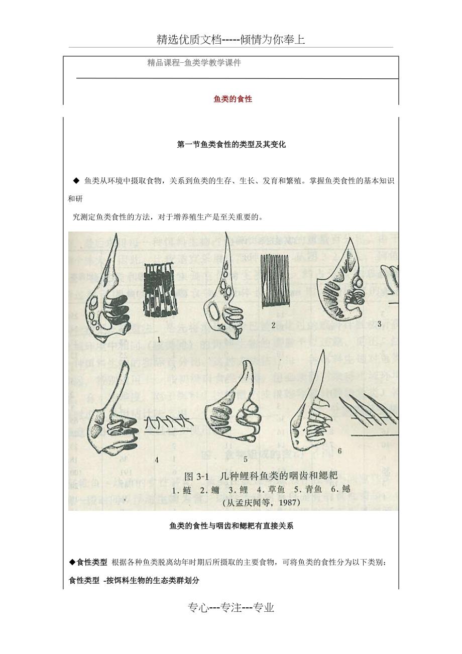 鱼类的食性_第1页