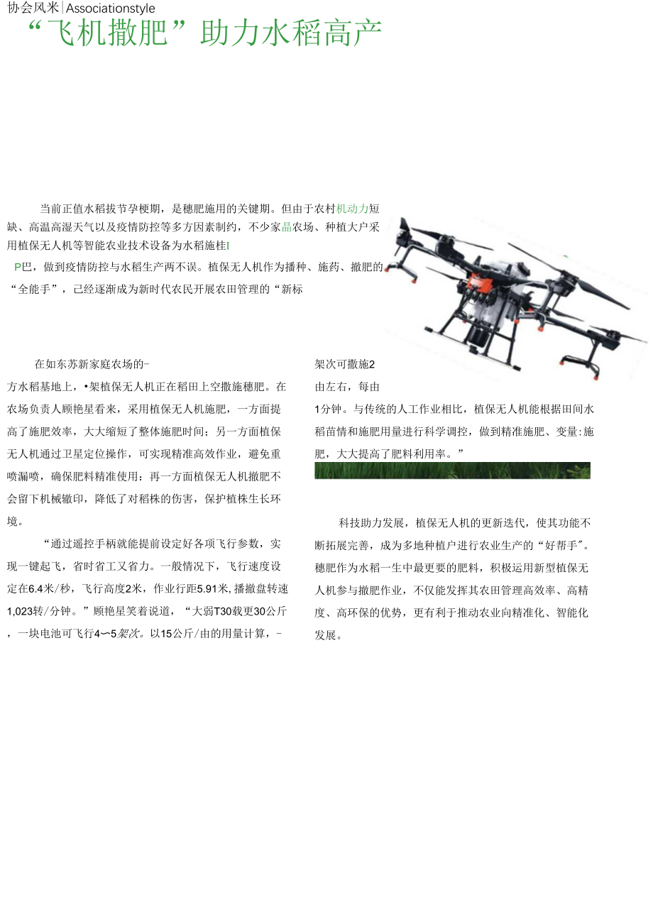 “飞机撒肥” 助力水稻高产_第1页