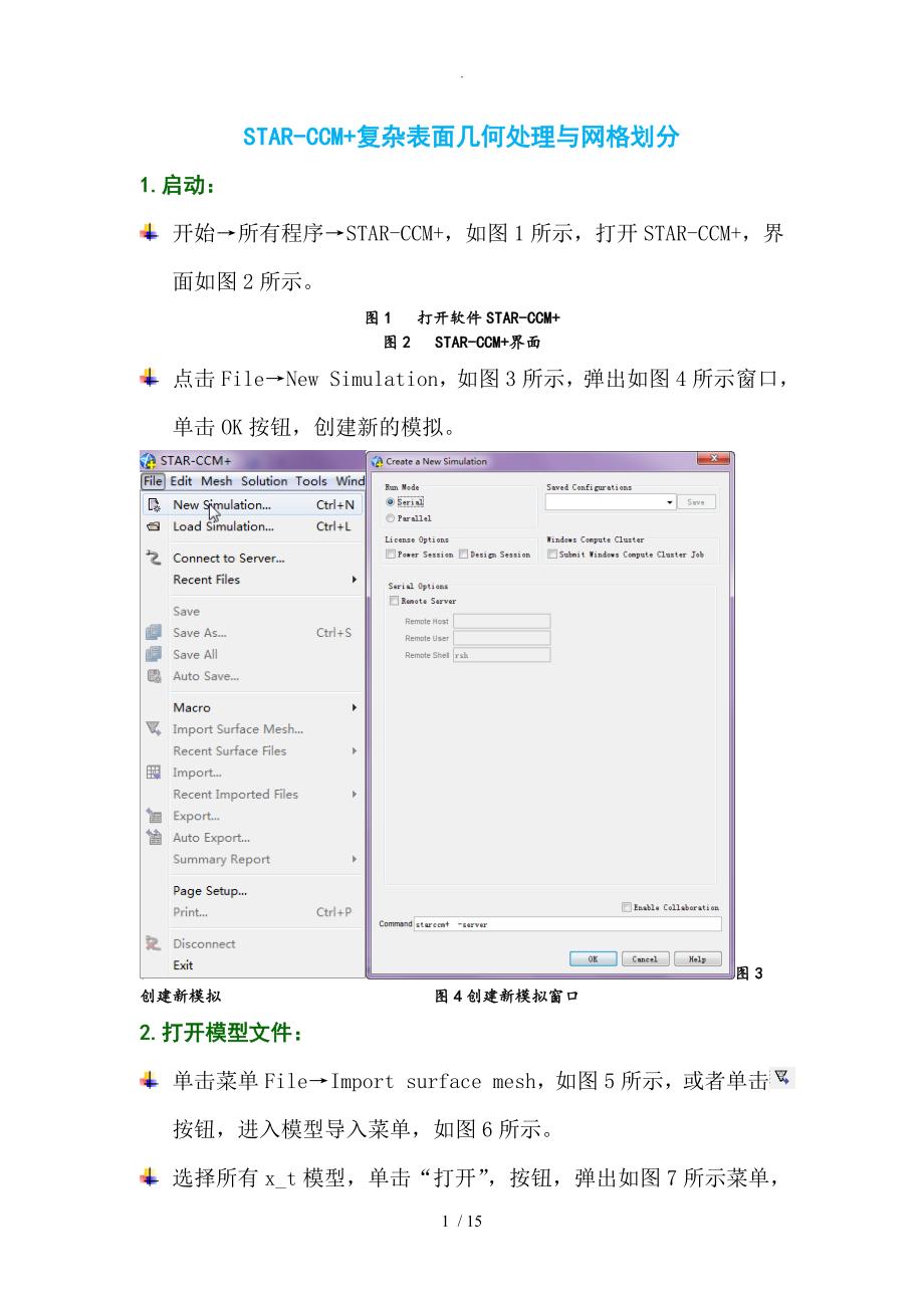 STAR_CCM+复杂表面几何处理和网格划分_第1页