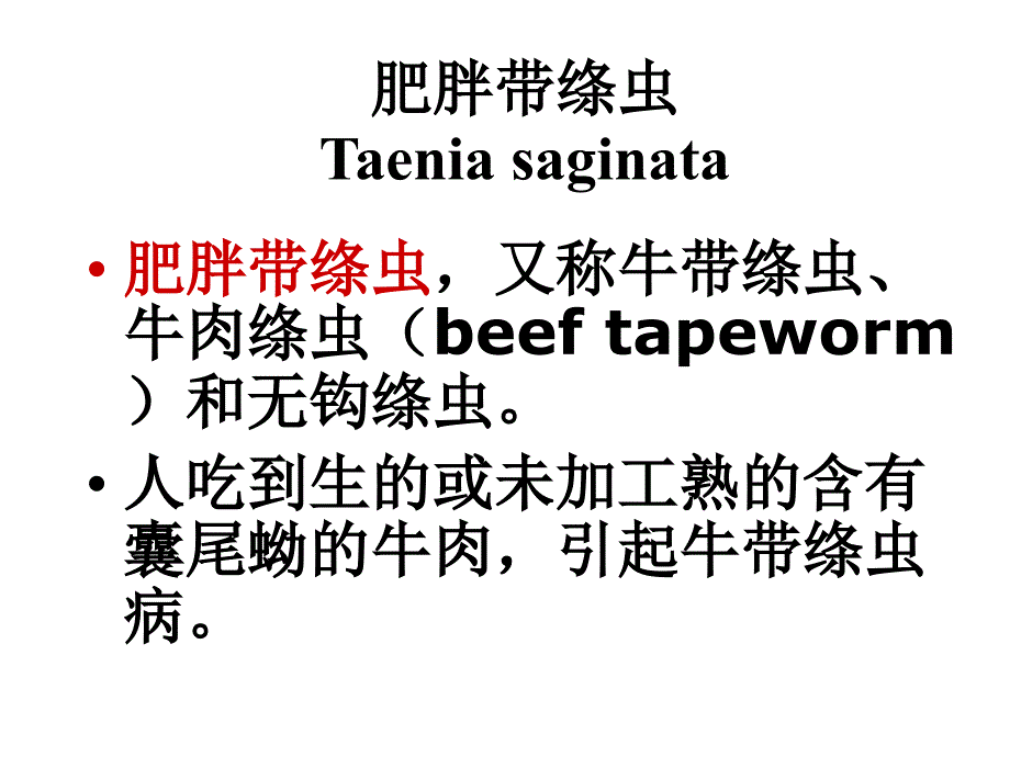 201110牛带绦虫_第1页