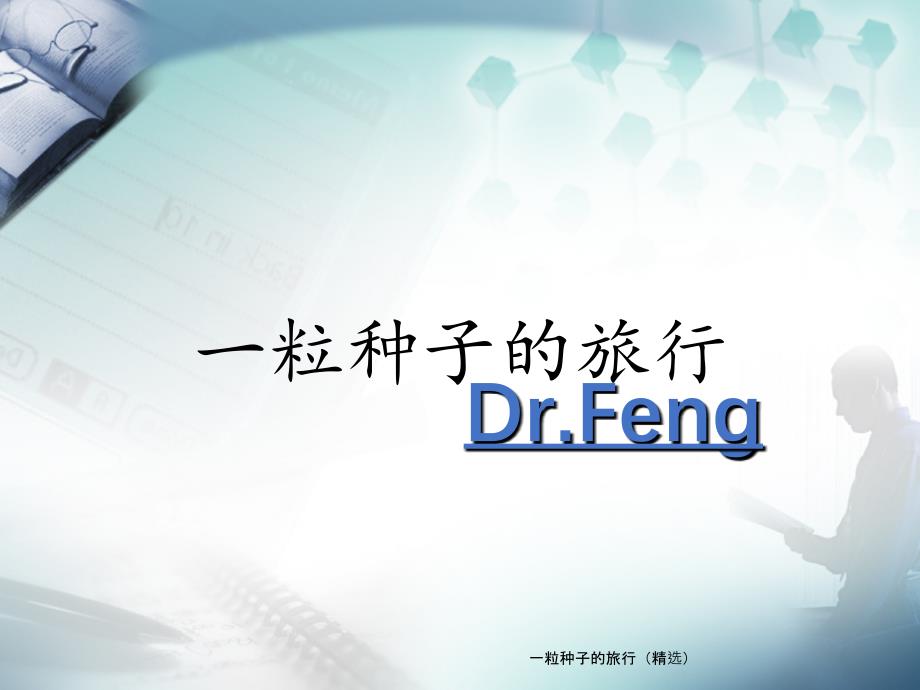 一粒种子的旅行(精选)_第1页