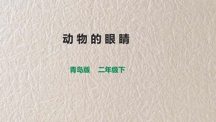 青岛版六三制二年级下册 动物的眼睛 课件_第1页